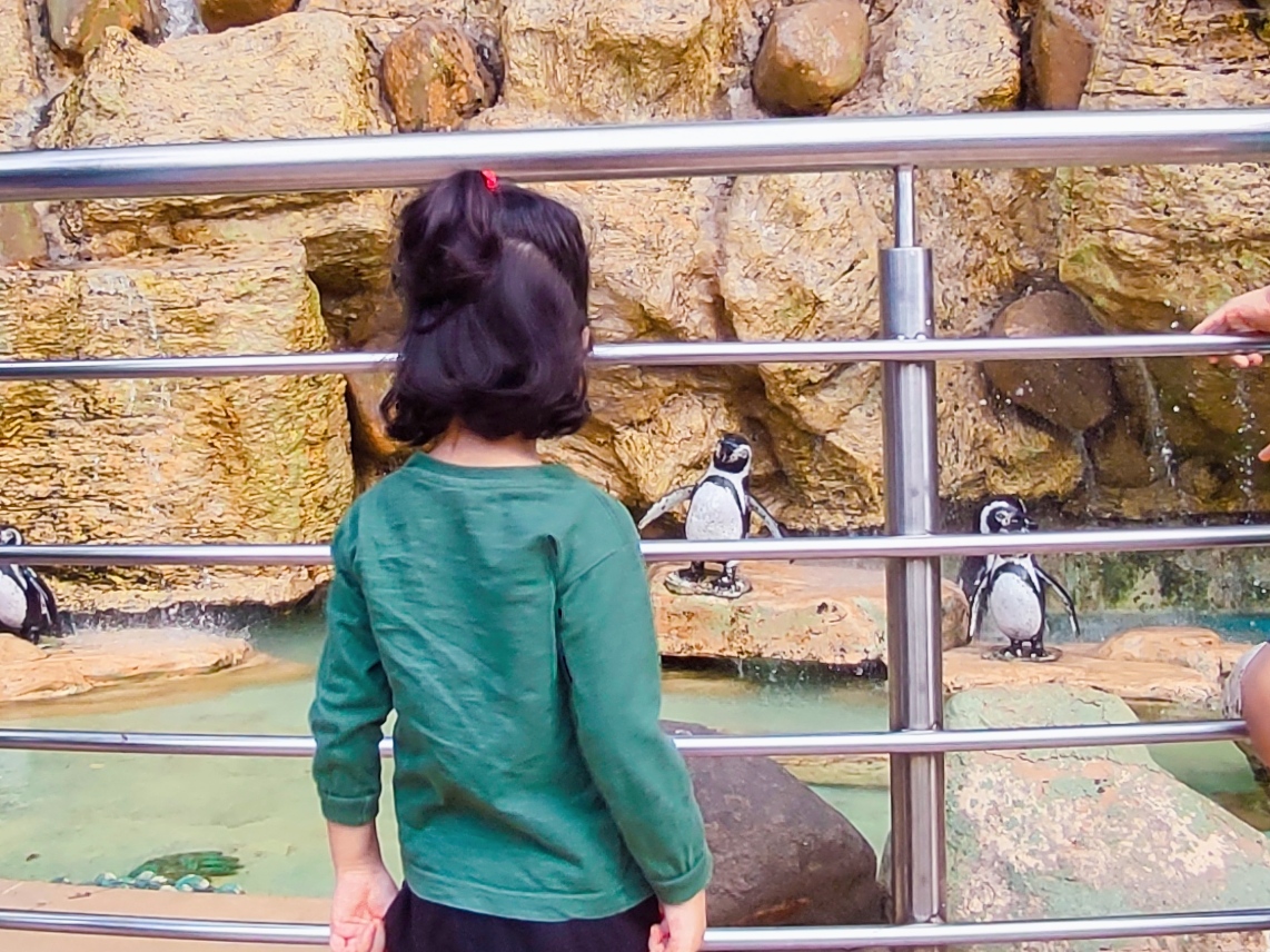 Travelling with a Toddler: Diaper changing tips in crowded outdoors